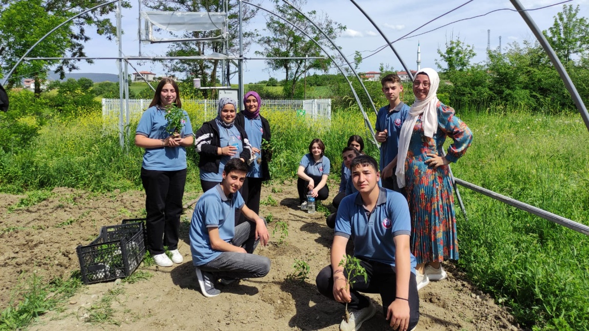 SERAMIZIN FİDANLARINI DİKTİK.